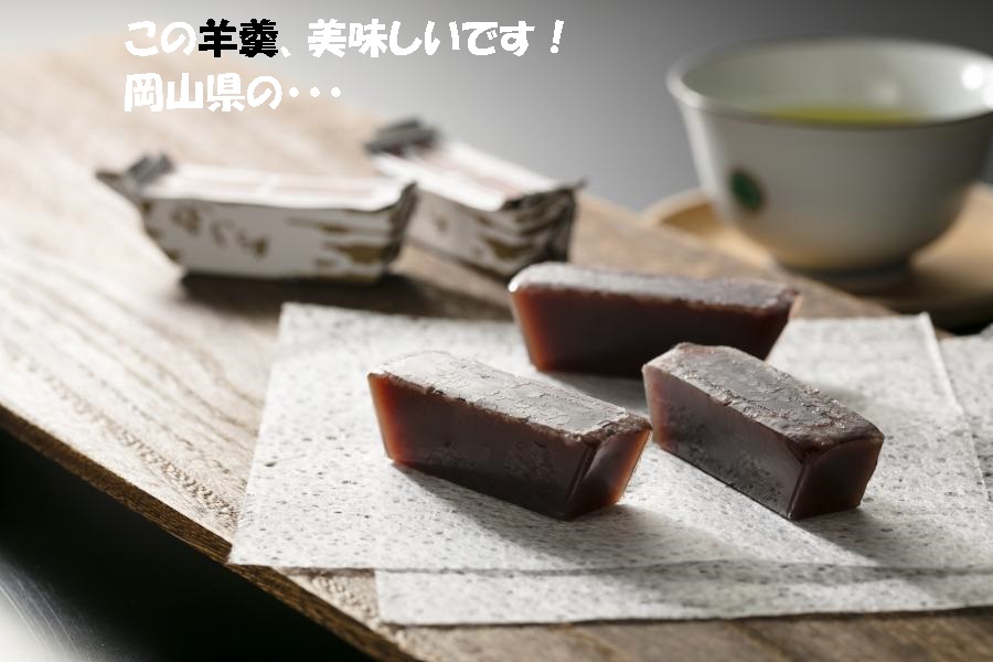 岡山県 古見屋 羊羹